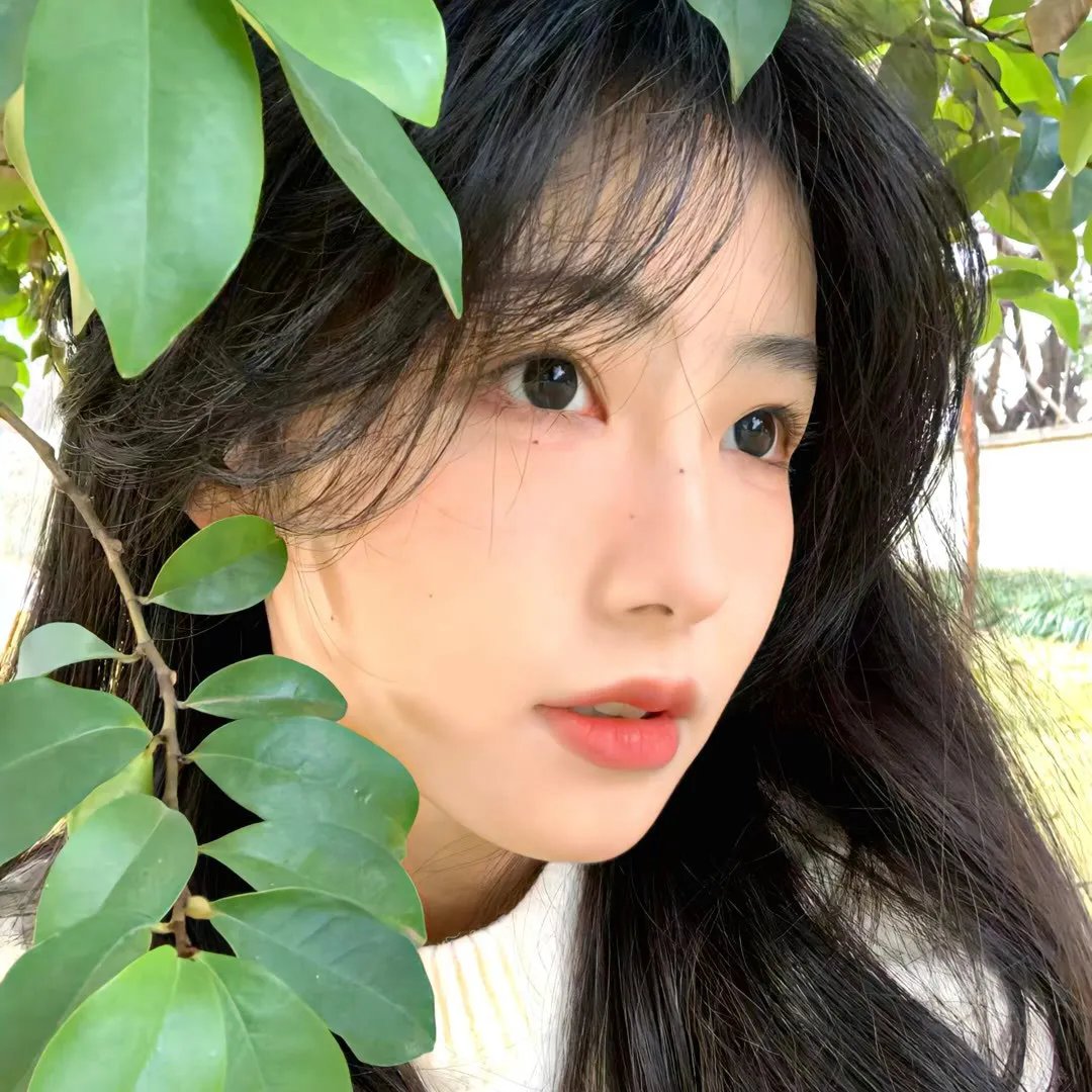 我的名字叫朱莉娅·罗斯