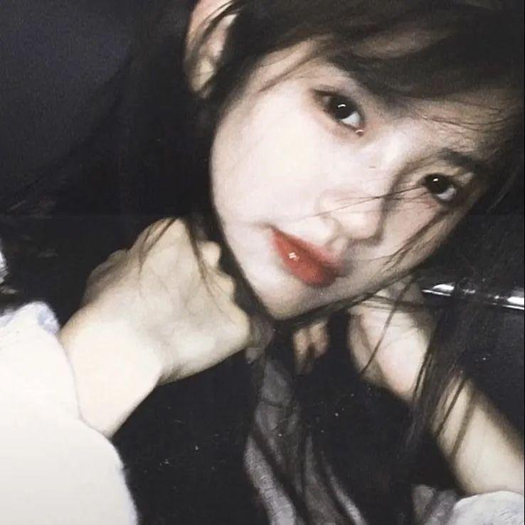 101朵玫瑰